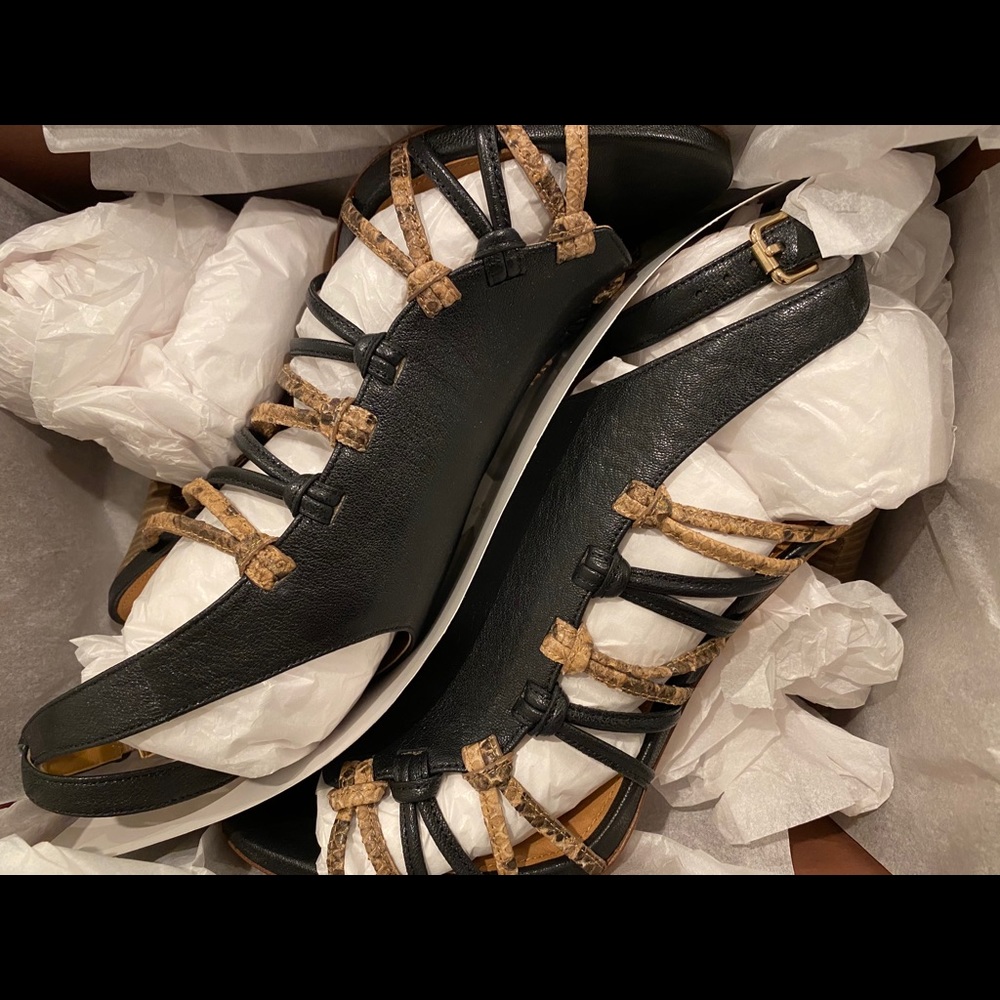 Brand New Coach High Heels